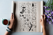 Forest Bundle, an Animal Illustration by Annie Konst (Thumbnail 18 of 23)