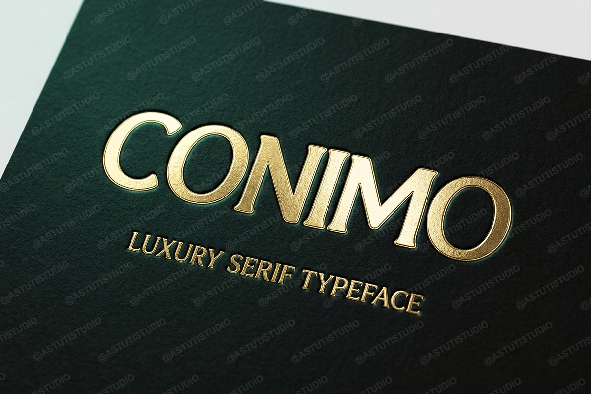 Conimo | A Refined Modern Serif Type, a Serif Font by Astuti Studio (Photo 9 of 23)
