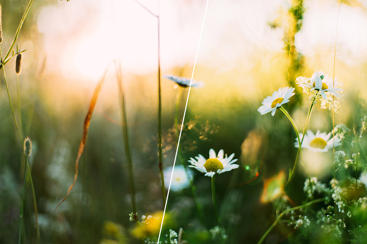 Spring Photoshop Actions, an Action Add-On by Bato (Photo 6 of 16)
