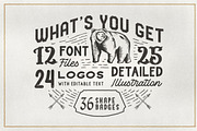 DOUGLAS COLLECTIONS (BUNDLE), a Font by Adam Fathony (Thumbnail 2 of 20)