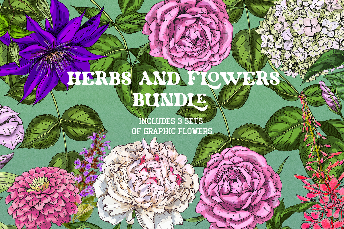 Flowers Illustration Bundle, a Decorative Illustration by Schumacher Shop (Photo 17 of 18)