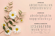 Prairie Life – Cute font, a Serif Font by TokoPress (Thumbnail 8 of 10)