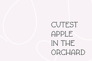 FALL & FLAIR Farmhouse Serif Font, a Serif Font by Blush Font Co. (Thumbnail 6 of 6)