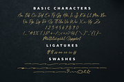 Rottersand - Brush Font, a Script Font by Hendra Pratama (Thumbnail 7 of 7)