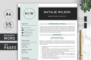 2 Page Resume Template CV Template