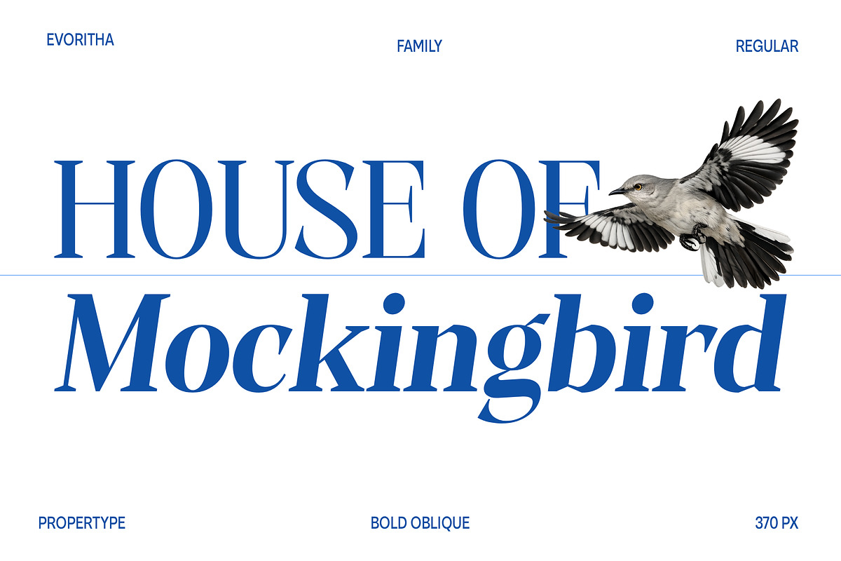 Evoritha, a Serif Font by Propertype (Photo 5 of 16)