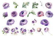 Blue flower. Watercolor clipart, a Decorative Illustration by ElenazlataArt (Thumbnail 5 of 16)