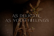 Quotesa Sans, a Sans Serif Font by Typia Nesia (Thumbnail 2 of 12)
