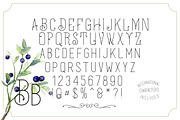 Buoyage Typeface + Extras, a Font by Liviu (Thumbnail 6 of 7)