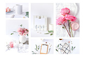 Blooming Love - Styled Stock Photos, a Background Photo by SunnyTangerine Stock (Thumbnail 2 of 12)