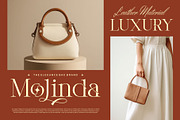 Glovia || Modern Classy Serif Font, a Serif Font by Ermedia Studio (Thumbnail 3 of 10)