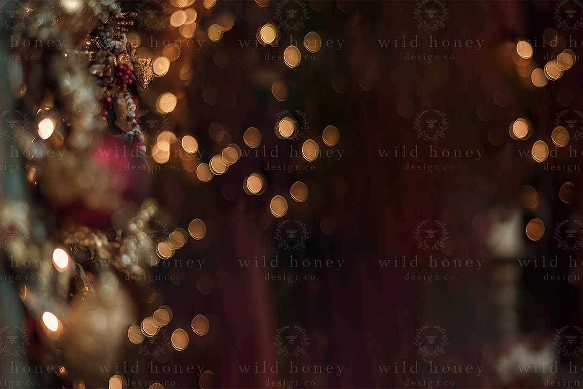 Christmas Lights Digital Backdrop, a Layer Style Add-On by Wild Honey Design Co. (Photo 2 of 2)