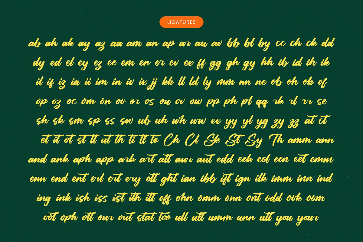 Hunting Gather Bold Handwritten Font, a Script Font by Letterena Studios Script (Photo 11 of 20)