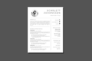 30+ Resume Bundle for Google Docs, a Resume Template by DesignStudioTeti (Thumbnail 5 of 10)