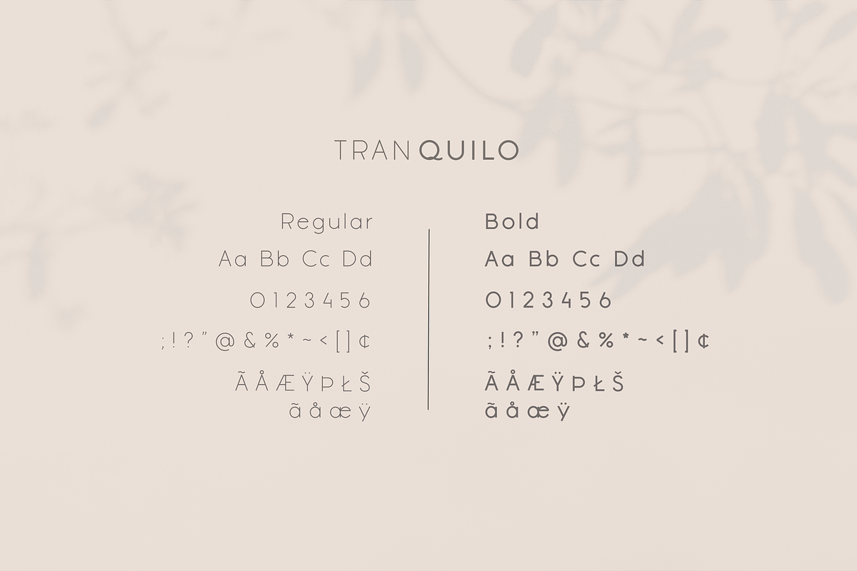 Tranquilo | Sans Serif Font, a Sans Serif Font by Vanem Studio (Photo 4 of 10)