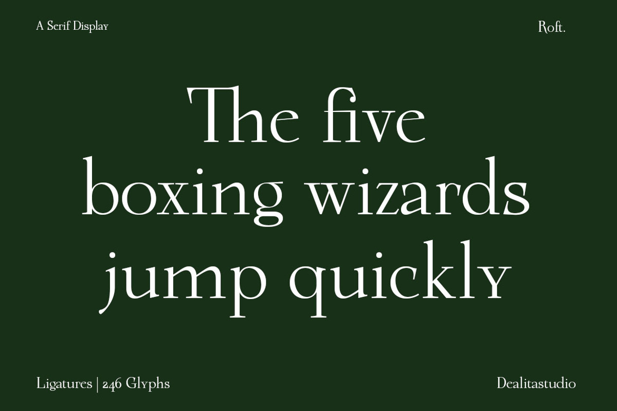 Roft - Quiet Luxury Minimalist Serif, a Serif Font by dealitastudio (Photo 2 of 12)