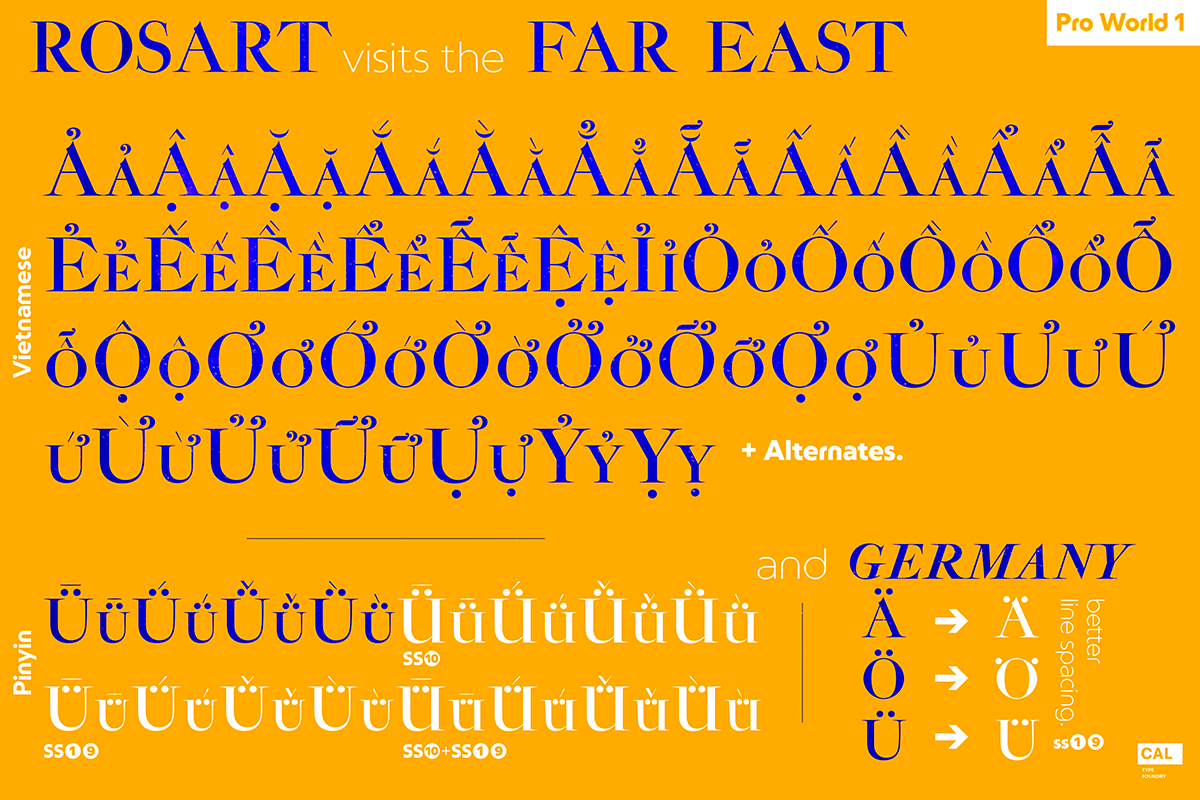 Rosart & Fleisch Hi Res ALL:10 FONTS, a Serif Font by California Type Foundry (Photo 13 of 13)