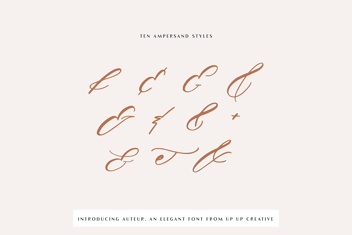 Auteur Calligraphy Script Font, a Script Font by Up Up Creative (Photo 10 of 16)