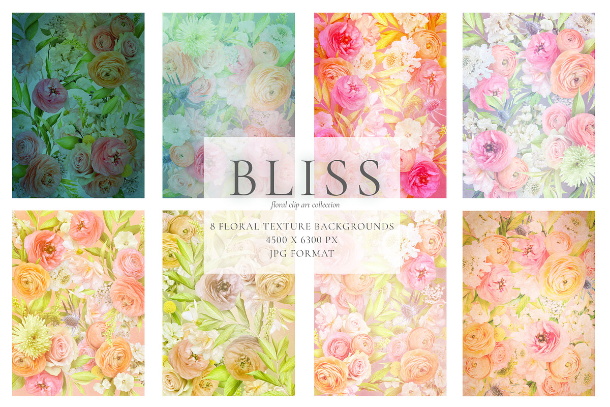 Bliss Floral Clip Art Collection, an Object Graphic by Eclectic Anthology (Photo 8 of 11)