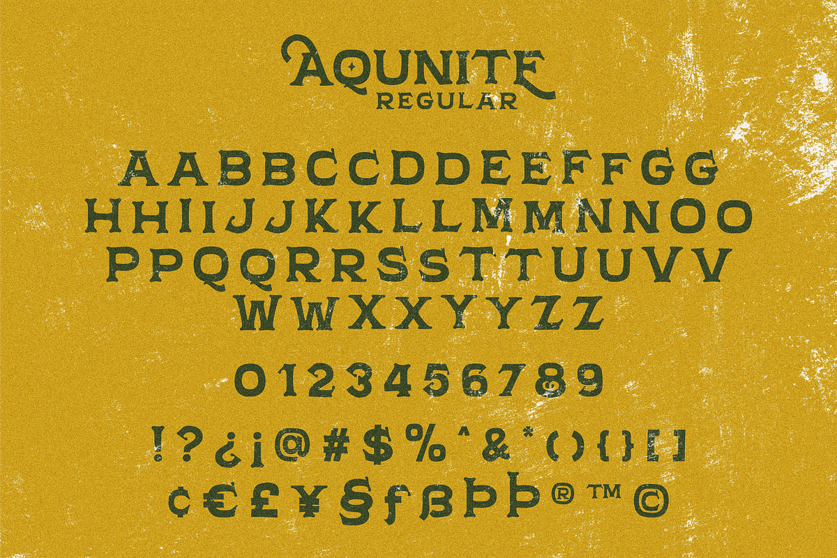 Aqunite Vintage Typeface, a Font by 24Design Studios (Photo 5 of 7)