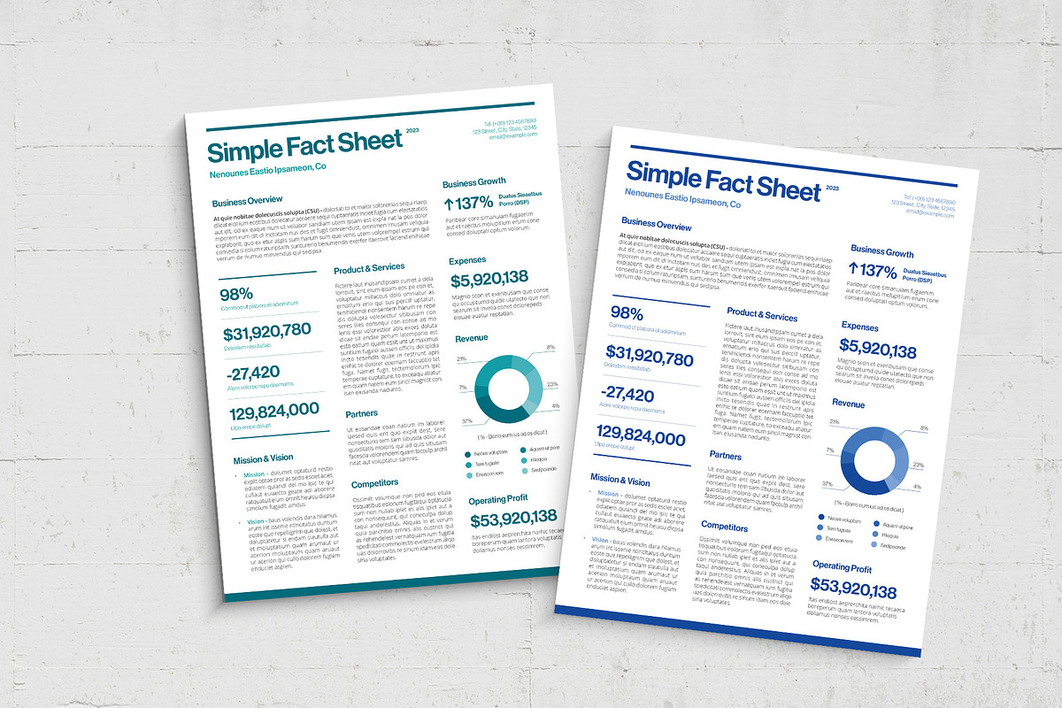 Simple Factsheet Template, a Flyer Template by BrandPacks (Photo 3 of 5)
