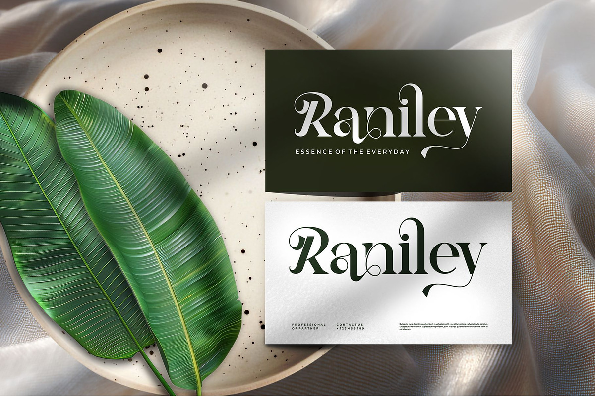 Bikary || Modern Classy Serif Font, a Serif Font by Ermedia Studio (Photo 9 of 10)