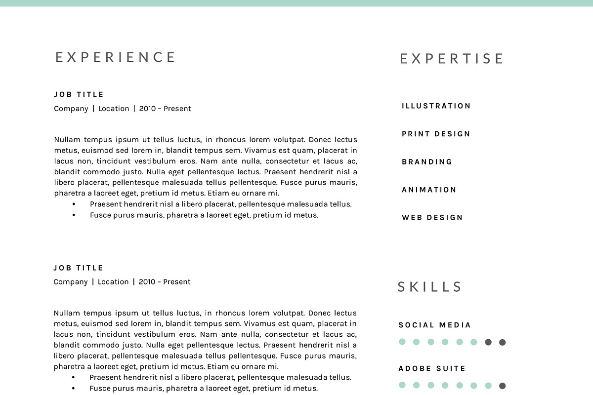 3 Page Resume Template | INDD + DOCX, a Resume Template by BlackDotResumes (Photo 6 of 6)