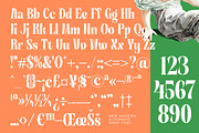 Sunday Mirage Modern Serif Font, a Script Font by timelesstype.co (Thumbnail 18 of 20)