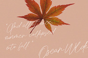 Jules Otonomi Classy Signature Font, a Script Font by Maulana Creative (Thumbnail 4 of 13)