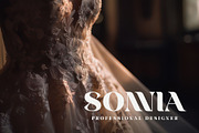 Frenia Modern Serif Typeface, a Serif Font by RantautypeStudio (Thumbnail 7 of 15)