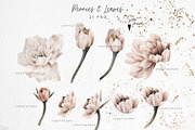 WATERCOLOR BUNDLE Peonies & Roses, an Illustration by ollalya (Thumbnail 55 of 101)