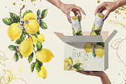 Lemons sunny watercolor clipart, a Food Illustration by NATASHA CHU (Thumbnail 6 of 23)