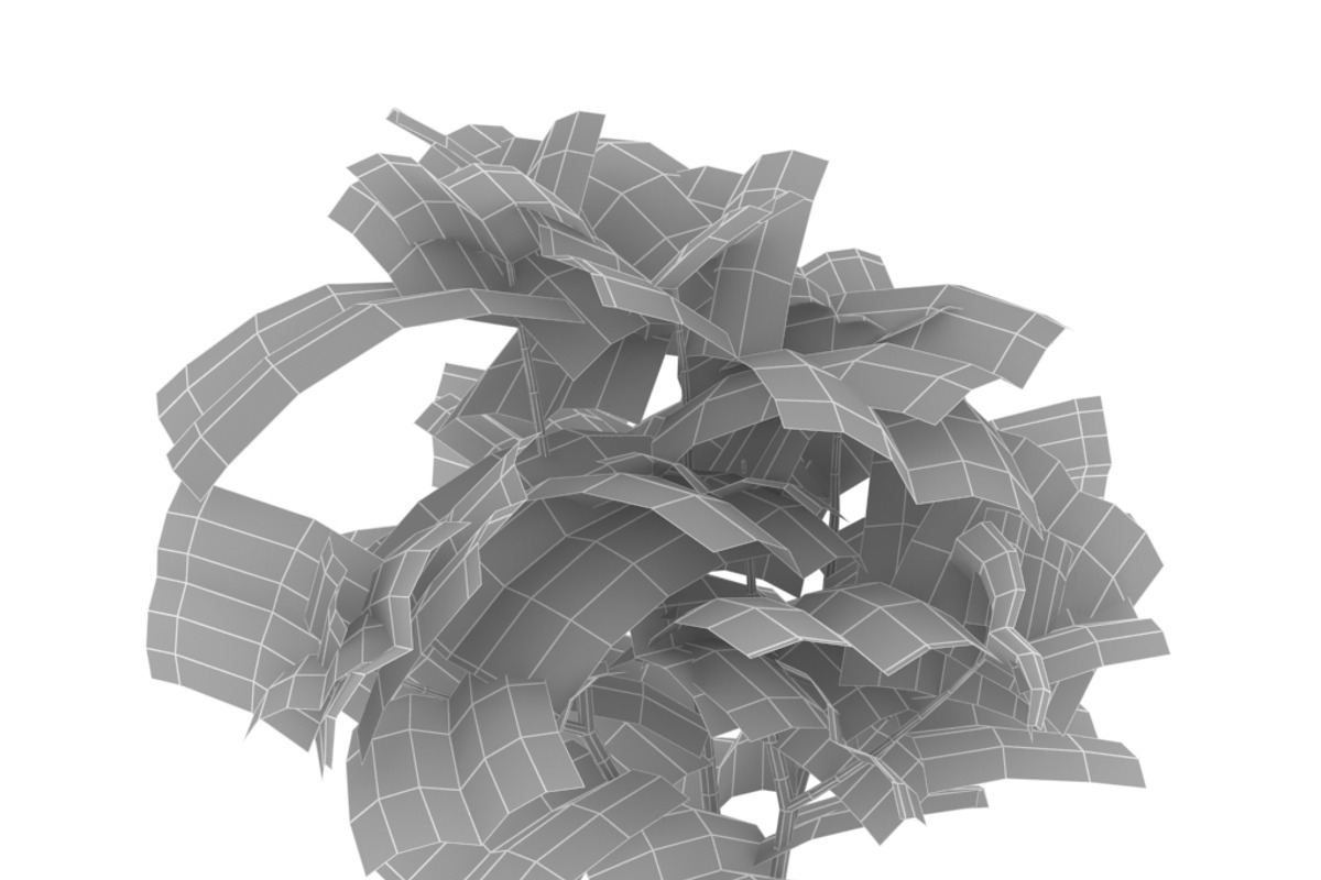 Potato plant, an Environmental 3D Model by AndrewWhite (Photo 7 of 11)