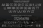 DENVER, a Sans Serif Font by FreshTypeINK (Thumbnail 7 of 8)