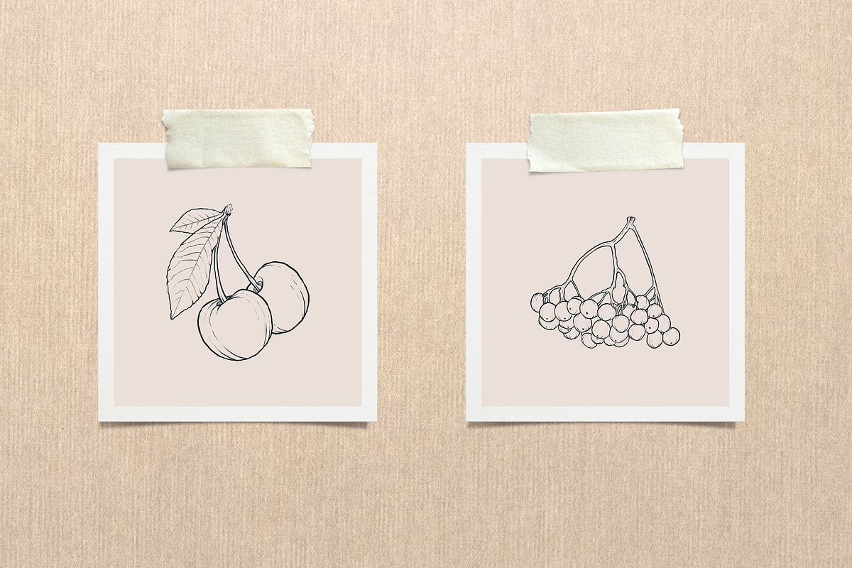 Berries Procreate Stamp Brushes, a Brush Add-On by Little Nordic Atelier (Photo 4 of 4)