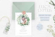 Scent of Eucalyptus - Graphic Set, an Illustration by studioequinox (Thumbnail 12 of 21)
