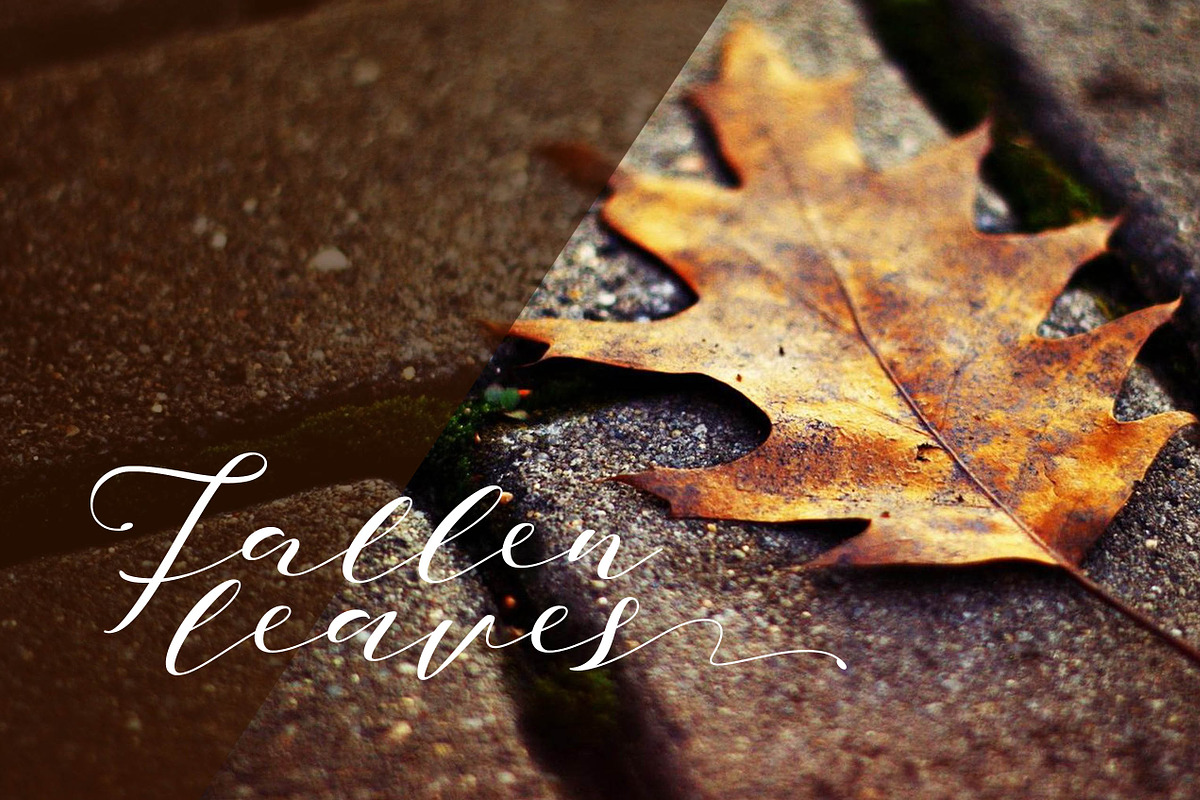 Notetail Script Typeface preview 6