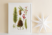 Christmas Patterns & Motifs, a Pattern Graphic by PREMIUMVECTOR (Thumbnail 8 of 8)