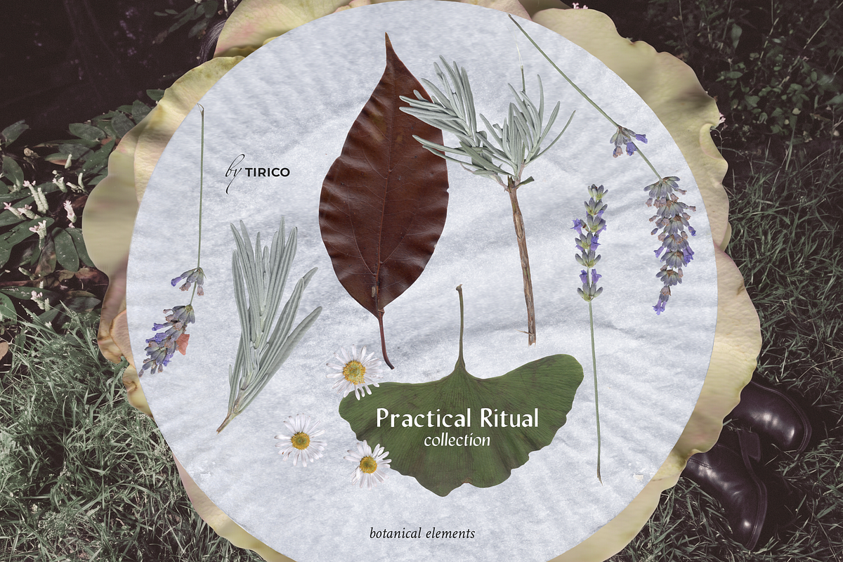 Practical Ritual: Collection, an Object Graphic by TiriCo (Photo 5 of 12)