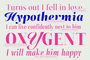 ZT Neue Ralewe Luxury Serif 90 Font, a Serif Font by zelow type (Thumbnail 4 of 24)