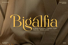 Bigalfia - An Elegant Modern Serif