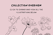 Wildflower Ink Atelier, a Decorative Illustration by The Journey Atelier (Thumbnail 4 of 19)