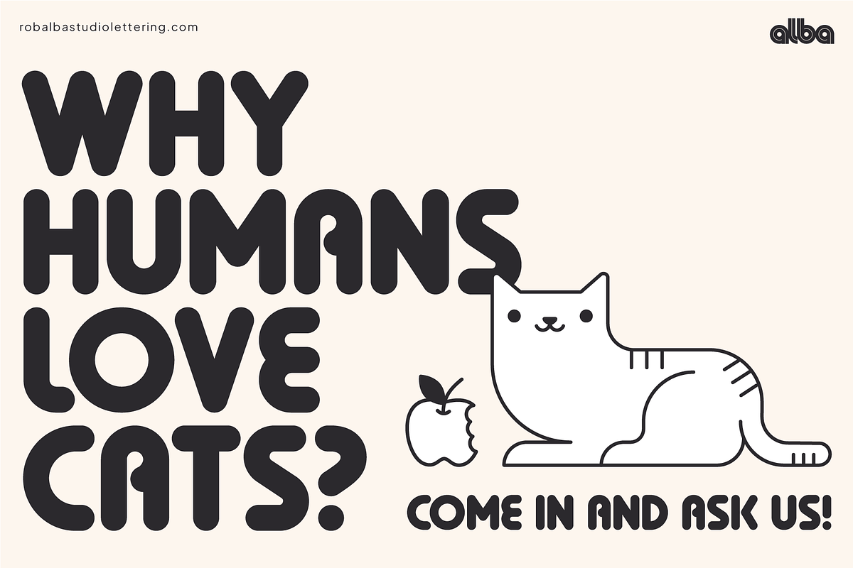 Risen Rounded, a Sans Serif Font by albatypefoundry (Photo 7 of 13)