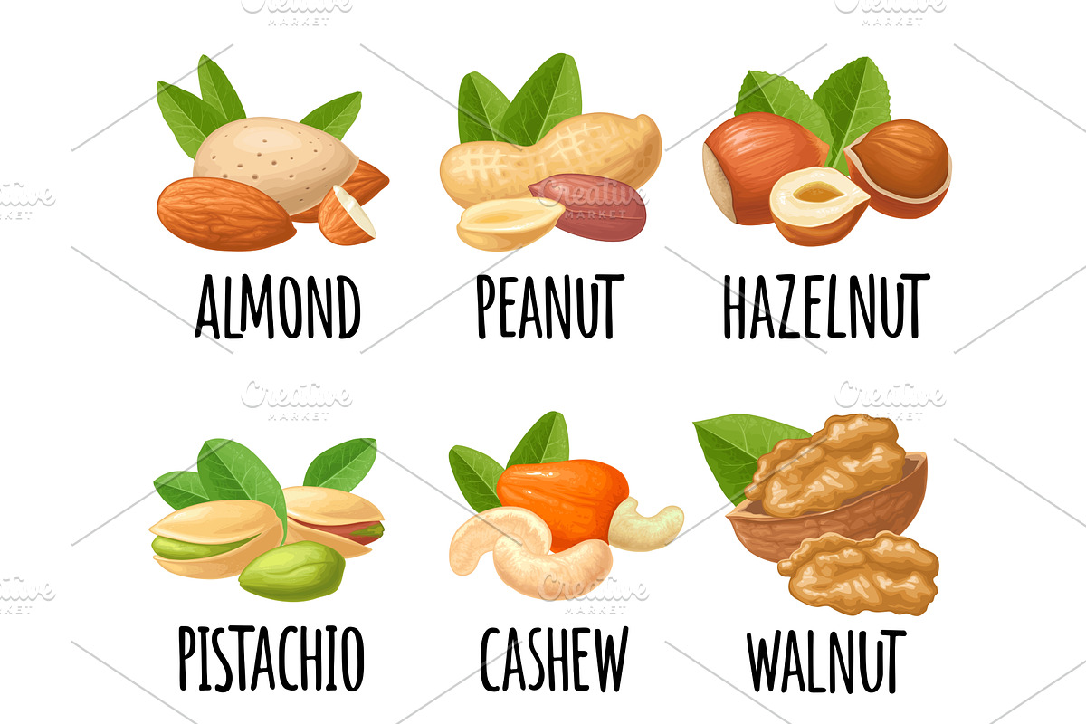 Set hazelnut, peanut, almond, cashew, an Illustration by MoreVector