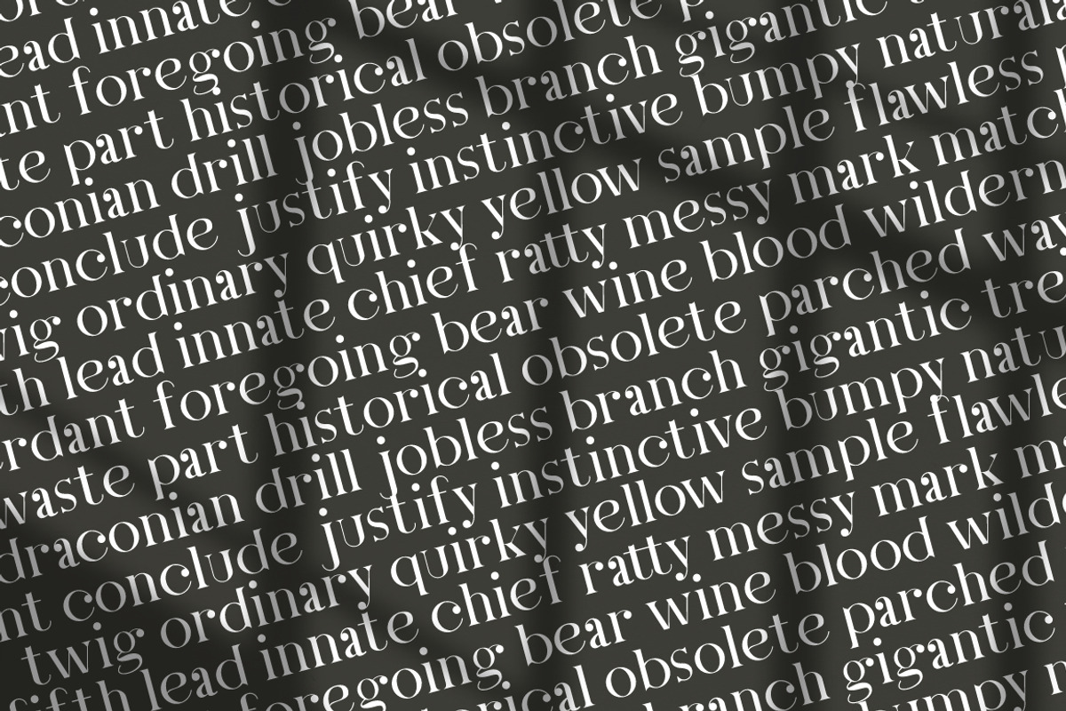 Letter Stylish Serif, a Serif Font by KennedyStudio (Photo 6 of 10)