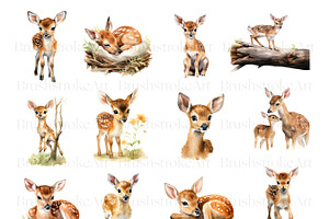 Watercolor Fawn Clipart, Baby Deer