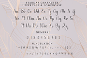 Earrings, a Handwritten Font by InermediaSTUDIO (Thumbnail 7 of 8)