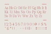 Aveloire Modern Elegant Serif Font, a Serif Font by Rasio Studio (Thumbnail 2 of 9)
