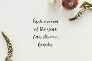 Cardigan Script, a Script Font by Beck McCormick (Thumbnail 3 of 11)