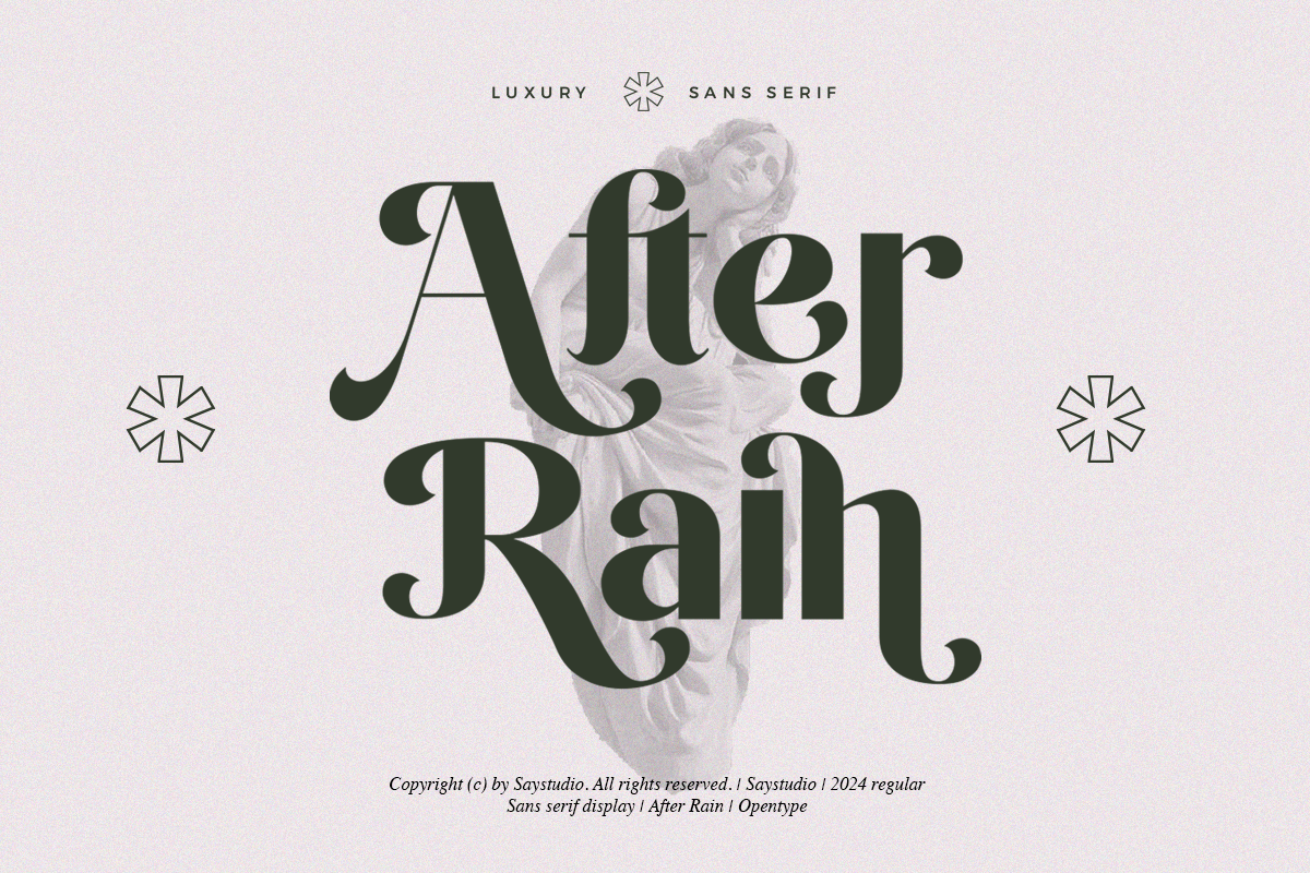 After Rain - Luxury Sans Serif Font, a Sans Serif Font by Say Studio (Photo 5 of 13)